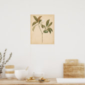 Kobalt Deco-paneel I Poster (Keuken)