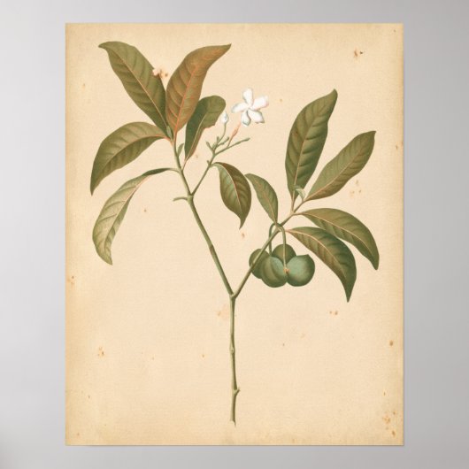 Kobalt Deco-paneel I Poster (Voorkant)