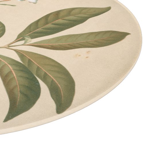 Kobalt Deco-paneel I Snijplank (Hoek)