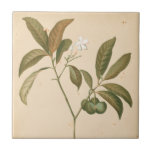 Kobalt Deco-paneel I Tegeltje<br><div class="desc">Kobalt Deco-panel I van Chariklia Zarris</div>