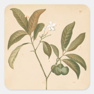 Kobalt Deco-paneel I Vierkante Sticker