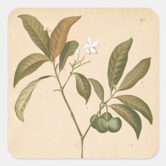 Kobalt Deco-paneel I Vierkante Sticker (Voorkant)