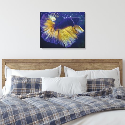 Kobalt, Mannelijke Betta Premium Verpakt Canvas (Insitu (Slaapkamer))