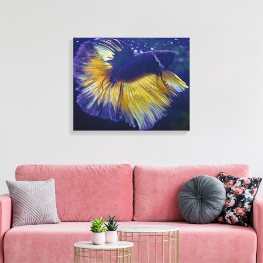 Kobalt, Mannelijke Betta Premium Verpakt Canvas (Insitu (Woonkamer))