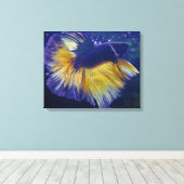 Kobalt, Mannelijke Betta Premium Verpakt Canvas (Insitu (Houten vloer))