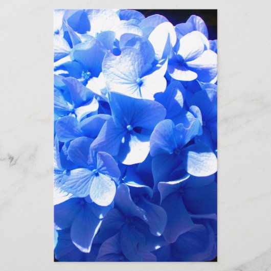 Kobaltblauw bloemensierlijke blauwe hortensia's briefpapier (Voorkant)