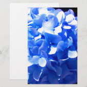 Kobaltblauw bloemensierlijke blauwe hortensia's briefpapier (Voorkant / Achterkant)