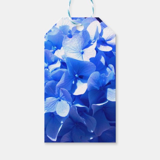 Kobaltblauw bloemensierlijke blauwe hortensia's cadeaulabel (Voorkant)
