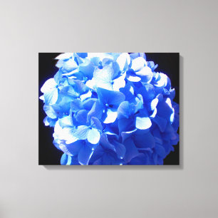 Kobaltblauw bloemensierlijke blauwe hortensia's canvas afdruk