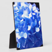 Kobaltblauw bloemensierlijke blauwe hortensia's fotoplaat (Zijkant)