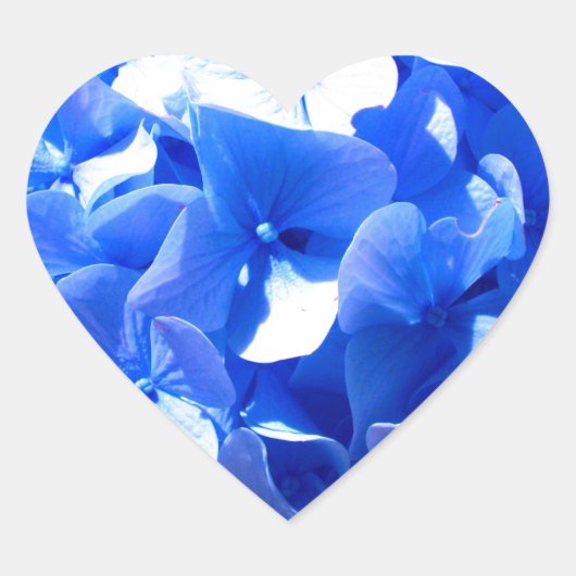 Kobaltblauw bloemensierlijke blauwe hortensia's hart sticker (Voorkant)