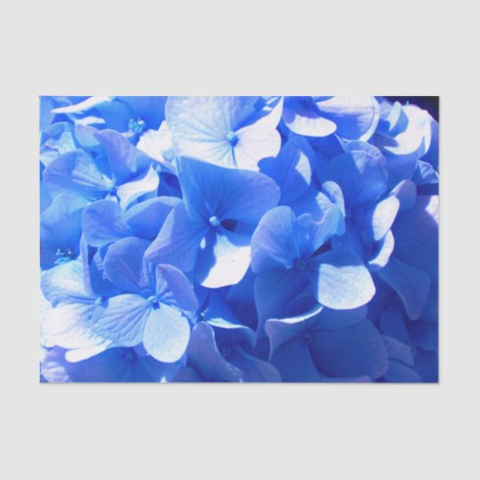 Kobaltblauw bloemensierlijke blauwe hortensia's tissuepapier (Voorkant)