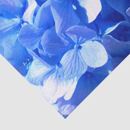 Kobaltblauw bloemensierlijke blauwe hortensia's tissuepapier (Detail)