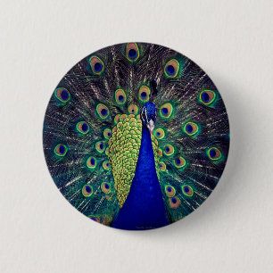 Kobaltblauwe Pauw Ronde Button 5,7 Cm