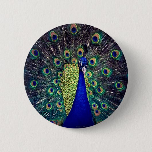 Kobaltblauwe Pauw Ronde Button 5,7 Cm (Voorkant)