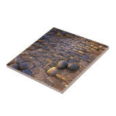 Kobblepels zonnestenen, grafische kunst tegeltje (Zijkant)