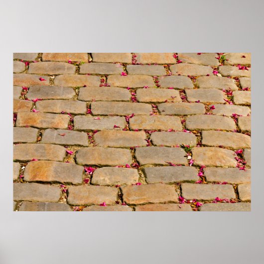 Kobblestone Walking Detail Poster (Voorkant)