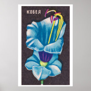 Kobeya Bloem - Luciferdoosje Print - Esthetische M