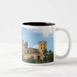 Koblenz, Duitsland, Stolzenfels Kasteel, Slot Tweekleurige Koffiemok