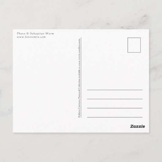 Koblenz Neuendorf Briefkaart (Achterkant)