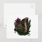 Kobra Briefkaart (Voorkant / Achterkant)