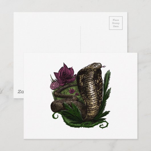 Kobra Briefkaart (Voorkant / Achterkant)