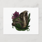 Kobra Briefkaart (Voorkant)