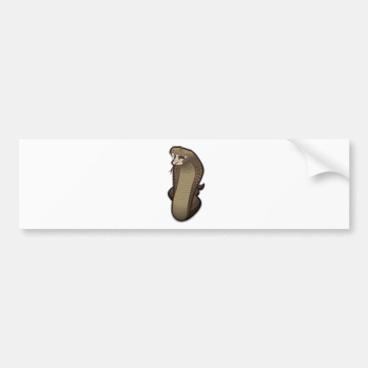 Kobraslang klaar om te slaan bumpersticker (Voorkant)