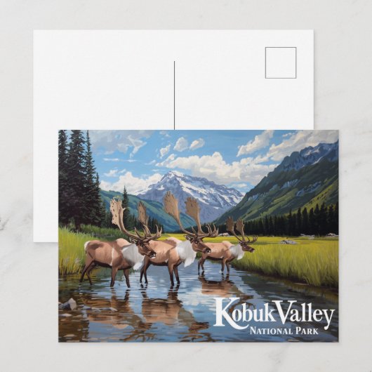 Kobuk Valley Caribou Herd Alaska Art Briefkaart (Voorkant / Achterkant)