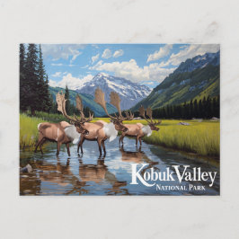 Kobuk Valley Kariboe Kudde Alaska Kunst Briefkaart