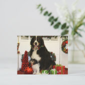 Kobus en Grover - Eiting - Foto 4 Briefkaart (Staand voorkant)