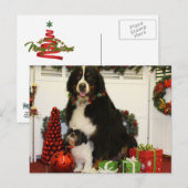 Kobus en Grover - Eiting - Foto 4 Briefkaart (Voorkant / Achterkant)