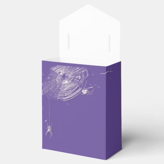 Kobwebben en witte spinnen bedankdoosjes (Geopend)