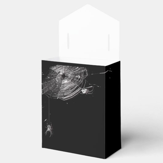 Kobwebben en witte spinnen bedankdoosjes (Geopend)