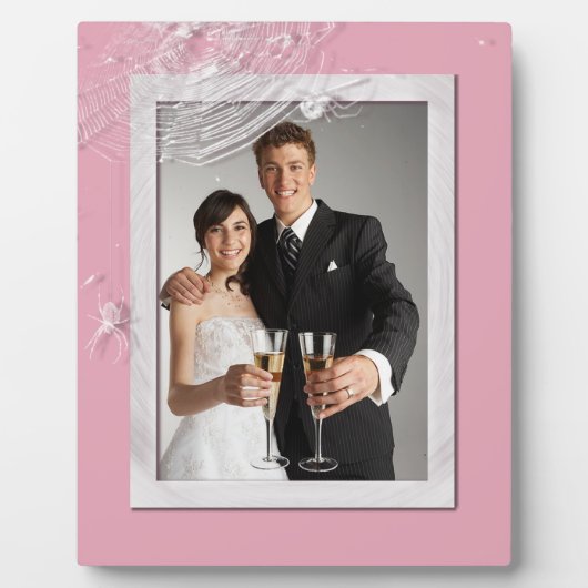 Kobwebben en witte spinnen fotoplaat (Voorkant)