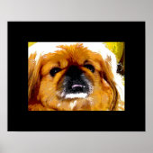 Kochi Poster (Voorkant)