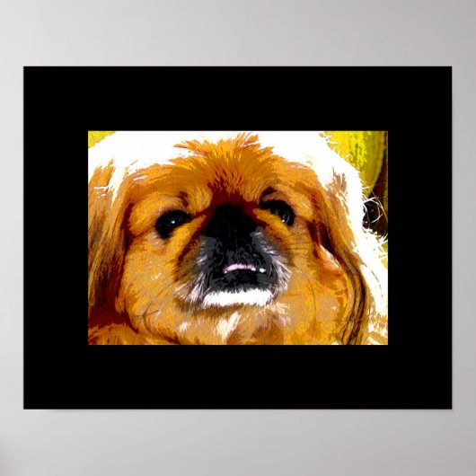 Kochi Poster (Voorkant)