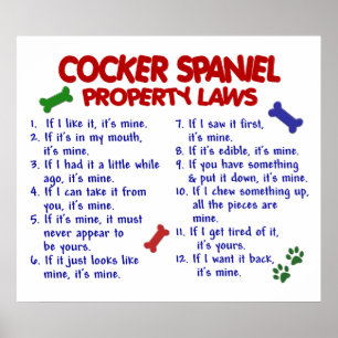 KOCKER SPANIEL PL2 POSTER