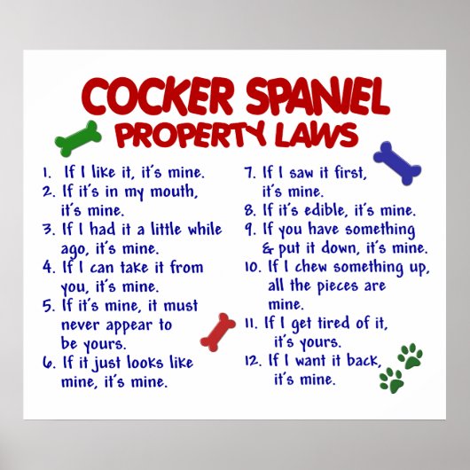 KOCKER SPANIEL PL2 POSTER (Voorkant)