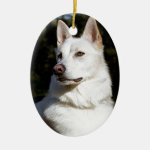 Kodah The White Shepherd Wolfdog Keramisch Ornament