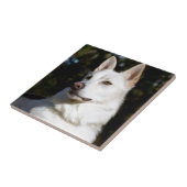 Kodah The White Shepherd Wolfdog Tegeltje (Zijkant)