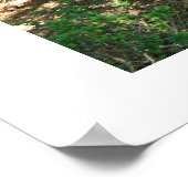 Kodai-mon Poster (Hoek)