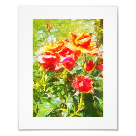 KODAK Print Oranje Rozen Foto Afdruk (Voorkant)