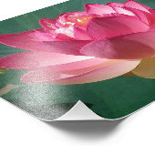 KODAK Print Pink Lotus Foto Afdruk (Hoek)