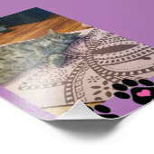 Kodak Professional-fotopapier (Satin) Foto Afdruk (Hoek)