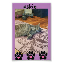 Kodak Professional-fotopapier (Satin)