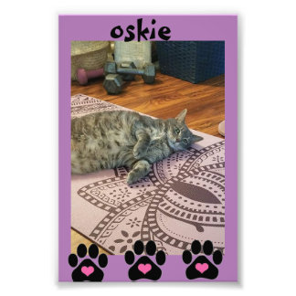 Kodak Professional-fotopapier (Satin) Foto Afdruk