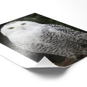 Kodak Professional-fotopapier (Satin) Foto Afdruk (Hoek)