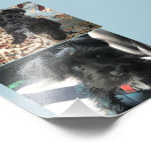 Kodak Professional-fotopapier (Satin) Foto Afdruk (Hoek)