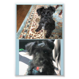 Kodak Professional-fotopapier (Satin) Foto Afdruk